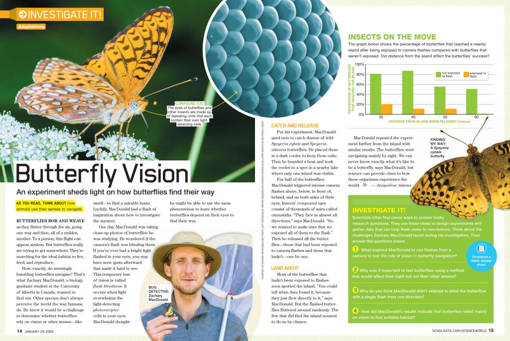 This image has an empty alt attribute; its file name is scholastic_speyeria_flash.jpg